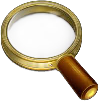 Recherche sur le site