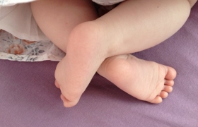 petits-pieds