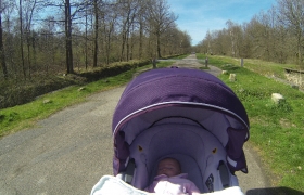 Promenade en foret de Rougeau