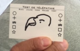 un oiseau
